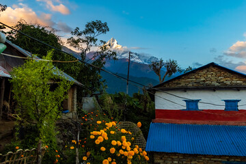 Mount Fishtail aka Machhapuchhare Himal in local language against village life.