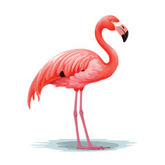 Watercolor pink flamingo isolated on white background, flamingo on water