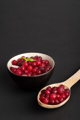 Frozen Lingonberry, Iced Cowberry, Snow Cranberry, Red Viburnum Berries, Frozen Lingonberry