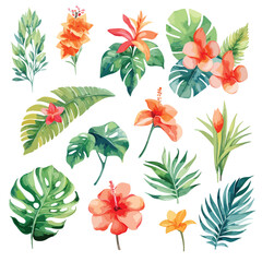 Watercolor tropical floral illustration set with green leaves . Decorative elements template. Flat cartoon illustration isolated on white background.Exotic tropical flowers and leaves. illustrations