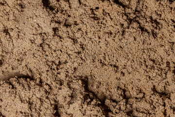 Close up on mud