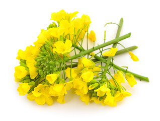 Mustard Flower blossom. - 652976494