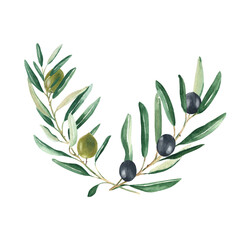 Olive branches bouquet with green and black olives isolated on white background. Watercolor hand drawn botanical illustration. Can be used for cards, menu, logos, cosmetic, food packaging design