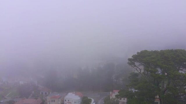 Fog in San Francisco, CA