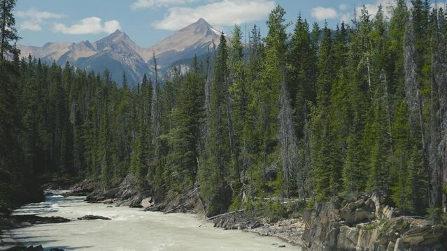 A stunning view of a river in Yoho National Park, Alberta, Canada with small mountain and forest in the background on a clear bule sky and rocky moutains range in summer daytime