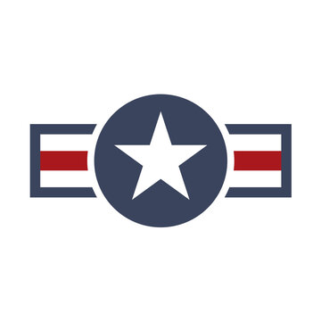 Military aircraftinsignia distressed -  vector illustration