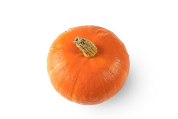 Fresh ripe orange pumpkin isolated on white, transparent background, PNG. Halloween concept, autumn vegetable, agriculture, harvest, healhy food ingredient