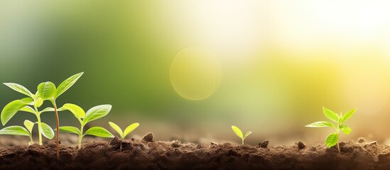 Agricultural growth and business planning concept with copy space - obrazy, fototapety, plakaty