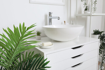 Sink bowl and bath accessories on chest of drawers in bathroom with houseplants