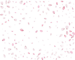 Lovely spring background from pink petals.
