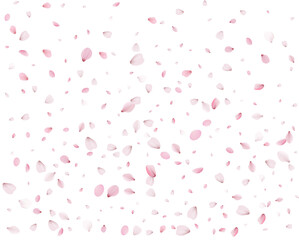Lovely spring background from pink petals.