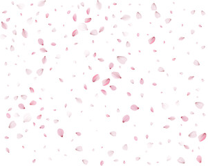 Lovely spring background from pink petals.