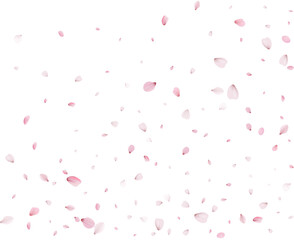 Fototapeta na wymiar Lovely spring texture of pink petals.