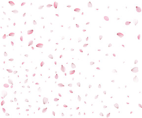 Fototapeta na wymiar Lovely spring texture of pink petals.