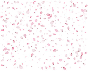 Sakura petals in a colorful spring swirl.