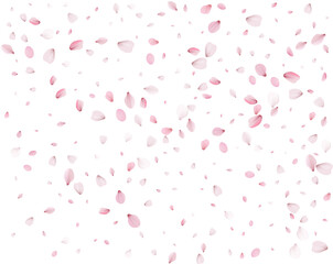 Sakura petals in a colorful spring swirl.