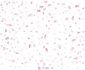 Cherry petals in a colorful spring swirl.