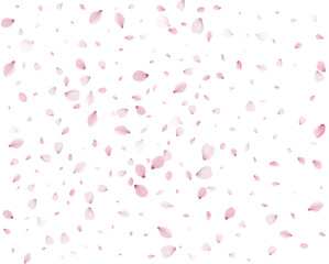 Many cherry petals are swirling in the wind.