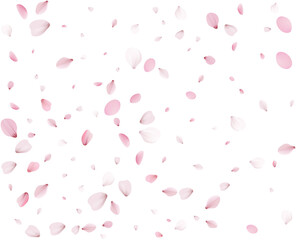 Festive background with pink sakura petals.