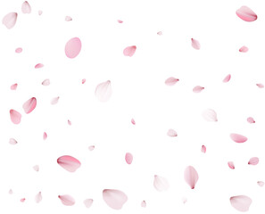 Holiday background with pink cherry petals.