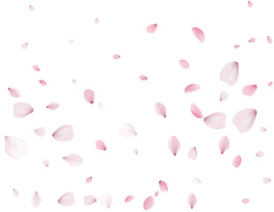 Holiday background with pink cherry petals.
