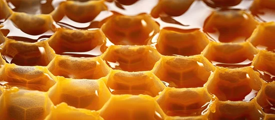 Fotobehang Background photo of royal jelly production with full opened queen cells and an alternative medicine concept © TheWaterMeloonProjec
