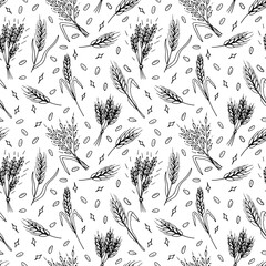 Seamless pattern with hand drawn spikelets of wheat in sketch. Grain ears. Rye, barley, wheat