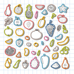 Set of hand drawn fruit and berries icons. Summer coloured fruit collection. Sketch, doodle. Stickers