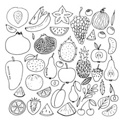 Set of hand drawn fruit and berries icons. Summer fruit collection. Sketch, doodle