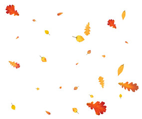 Many autumn leaves are swirling in the wind.