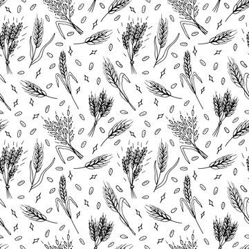Seamless pattern with hand drawn spikelets of wheat in sketch. Grain ears. Rye, barley, wheat