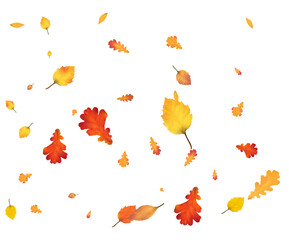 Holiday background with yellow leaves.