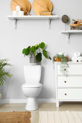 Interior of light restroom with ceramic toilet bowl and houseplants