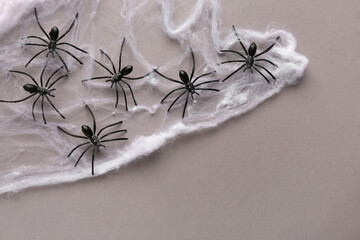 Cobweb with spiders for Halloween party on grey background