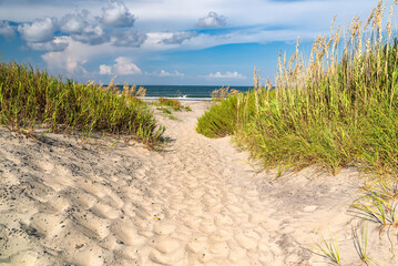 sandy path among the grass to the ocean. The sand dune is covered in seagrass.