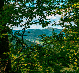 Fototapeta na wymiar Landscape shot of a German forest with cloudy sky
