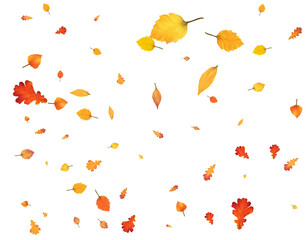 Autumn leaf fall, unobtrusive festive background.