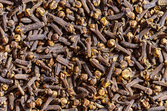 Cloves condiment background texture