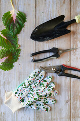 Gloves and gardening tools on wooden background