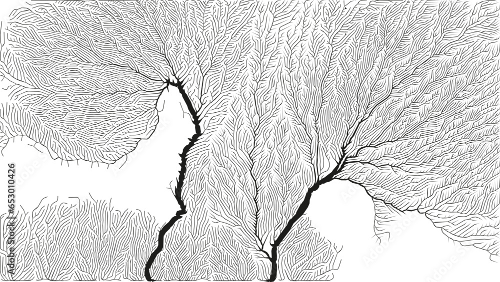 Poster growth pattern. generative branching structure. organic net of vessels texture.