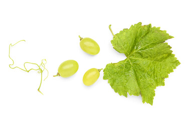 Fresh green grapes and leaf on white background