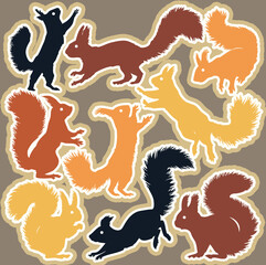 Cute Animal  illustration Icon Set isolated on a  background.