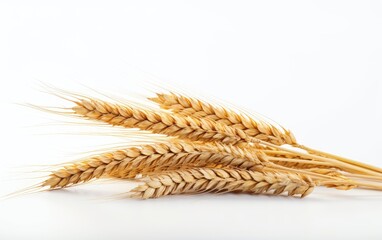 Wheat on white background. Generative AI