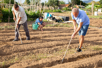 Family is working in garden - with help of rake they prepare the soil for planting seeds