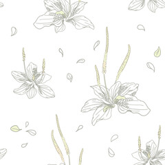 Plantago with flowers and leaves on a white background. Broadleaf plantain, medicinal plant. Wild herbs for wallpaper, textile, wrapping paper. Sketch style. Hand drawn vector seamless pattern - 653021667