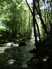 Balade au bord de la rivière - Albussac Corrèze