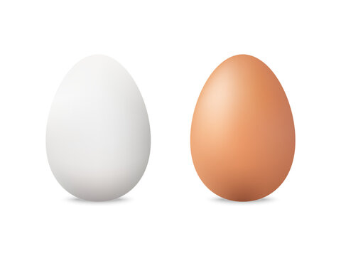 Eggs set. Realistic white and brown chicken eggs. Organic food concept. Whole eggshell with soft shadow. Easter elements mockup on white background. Vector illustration