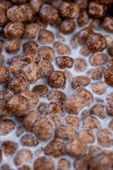 sweet and healthy chocolate balls with cow's milk