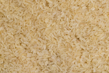 a large amount of uncooked fresh polished rice