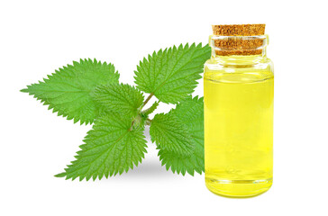 nettle oil in bottle isolated on white background
